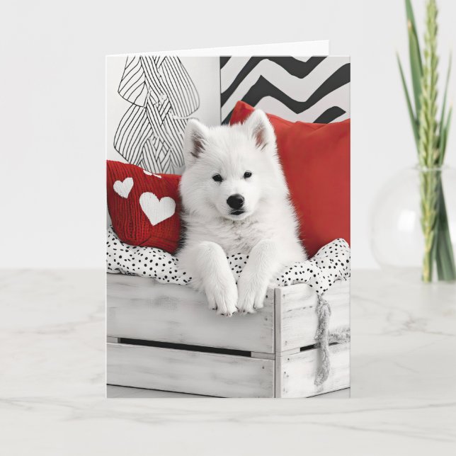 Samoyed Hund Valentine Card Tack Kort (Framsida)