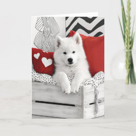 Samoyed Hund Valentine Card Tack Kort