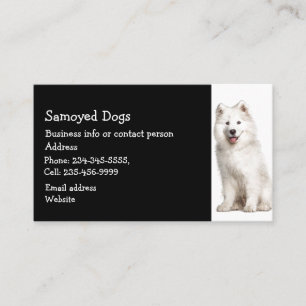 Samoyed Hundar Breeder Pet Sitter Visitkort