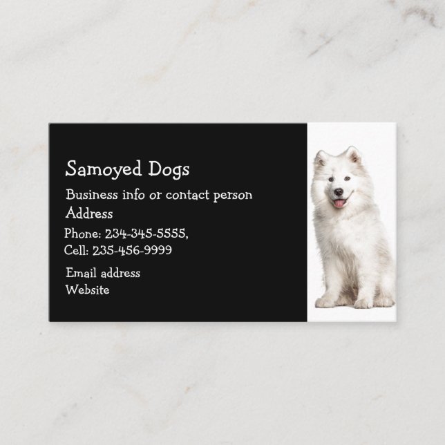 Samoyed Hundar Breeder Pet Sitter Visitkort (Framsida)
