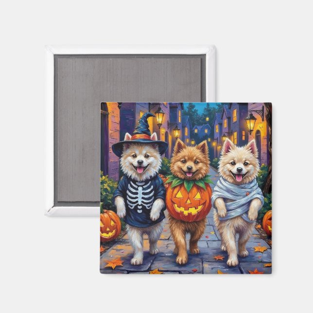 Samoyed-hundar som söker godis på Halloween Magnet (Front/Back)