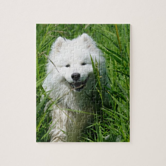 Samoyed i gräspussel pussel (Vertikal)