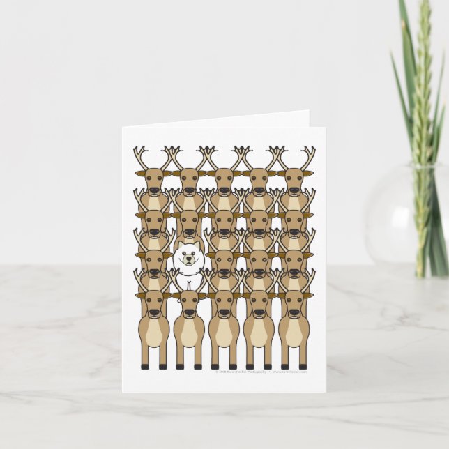 Samoyed i renen helgkort (Framsida)