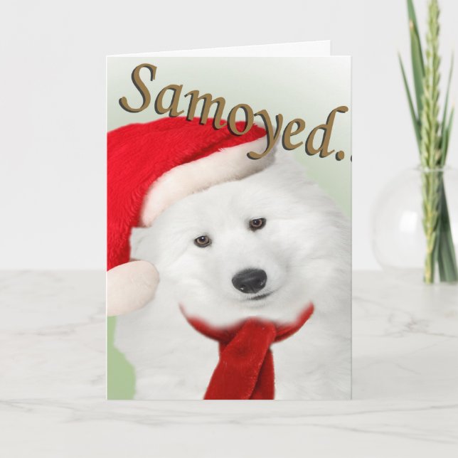 Samoyed jul Porträtt Card Helgkort (Framsida)