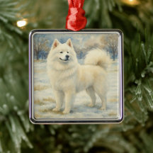 Samoyed