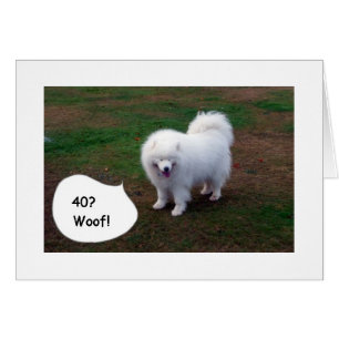 SAMOYED KAN INTE TRO DIG 40! KVIN! HÄLSNINGSKORT