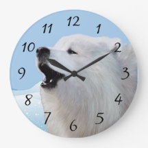 Samoyed Lare Acrylic Wall Clock