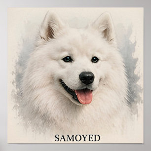 Samoyed Leende Arktisk Hund Porträtt Poster