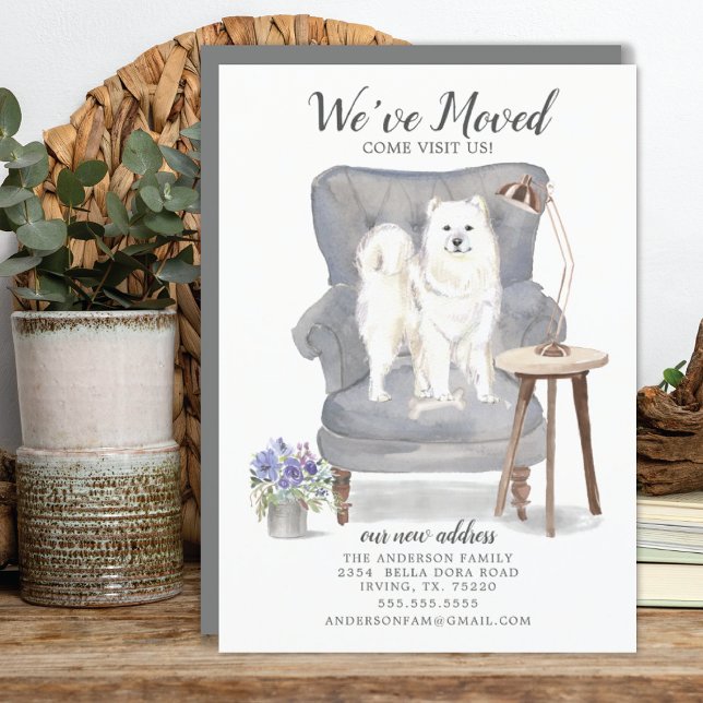 Samoyed | Meddelande om Flytta (Skapare uppladdad)