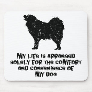 Samoyed Musmatta