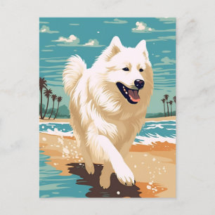 Samoyed på stranden vykort