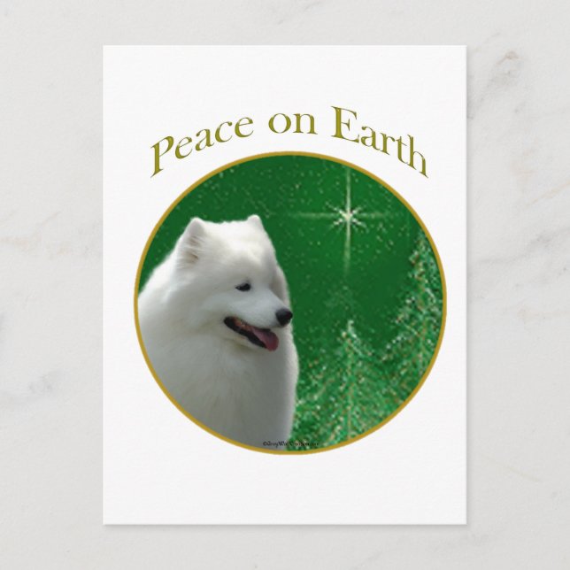Samoyed Peace Vykort (Framsida)