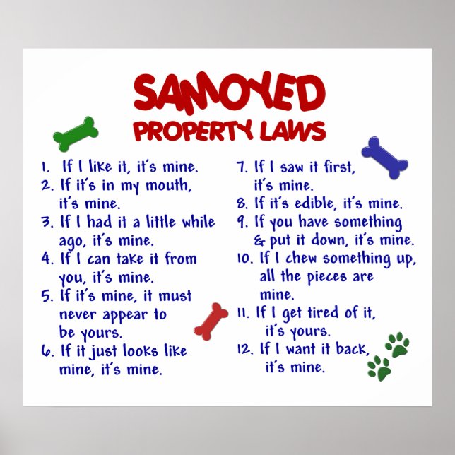 SAMOYED PL2 POSTER (Framsidan)