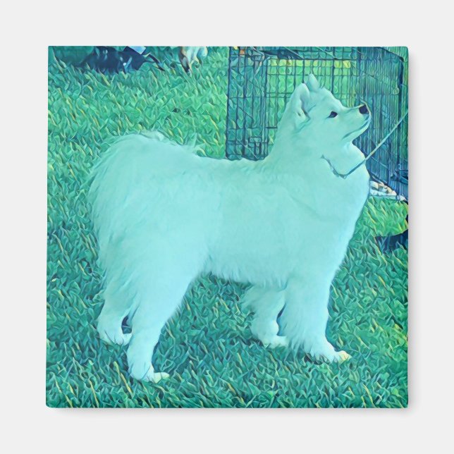 Samoyed puppes magnet (Framsidan)