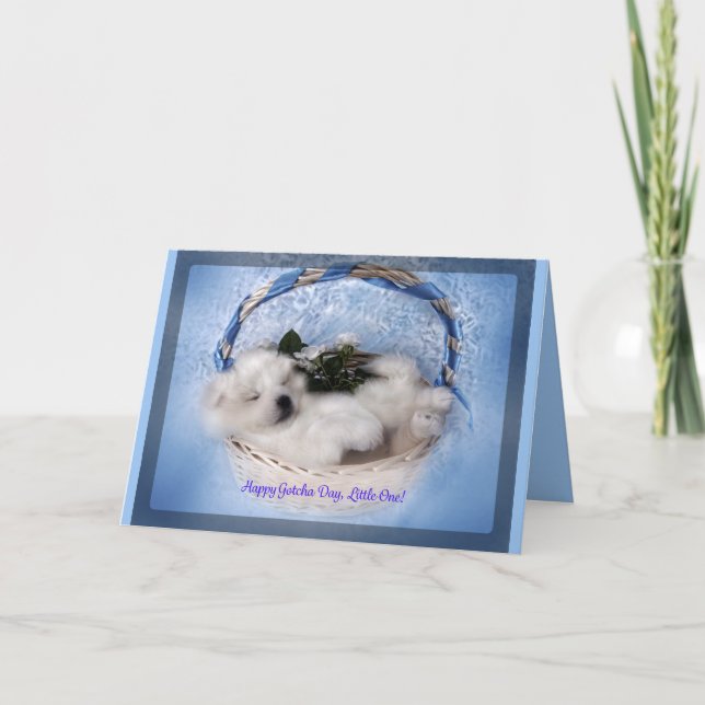 Samoyed Puppy Greeting Card: "Gotcha"Day Celebrate Kort (Framsida)