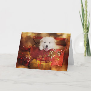 Samoyed Puppy i en julbox Helgkort