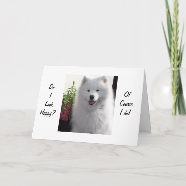 SAMOYED SÄGER LYCKLIG ATT DU ÄR "21" KORT (Framsida)