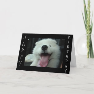 SAMOYED SAYS SPARA ME CAKE/I KÄRLEK U BIRTHDAY WIS KORT