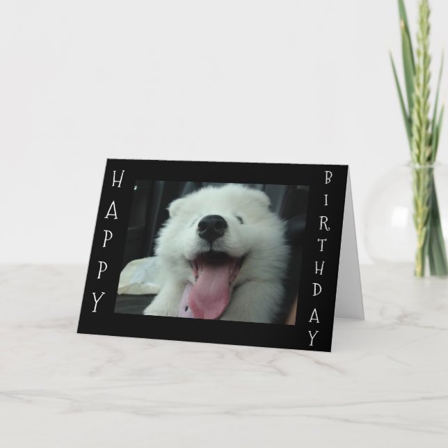 SAMOYED SAYS SPARA ME CAKE/I KÄRLEK U BIRTHDAY WIS KORT (Framsida)