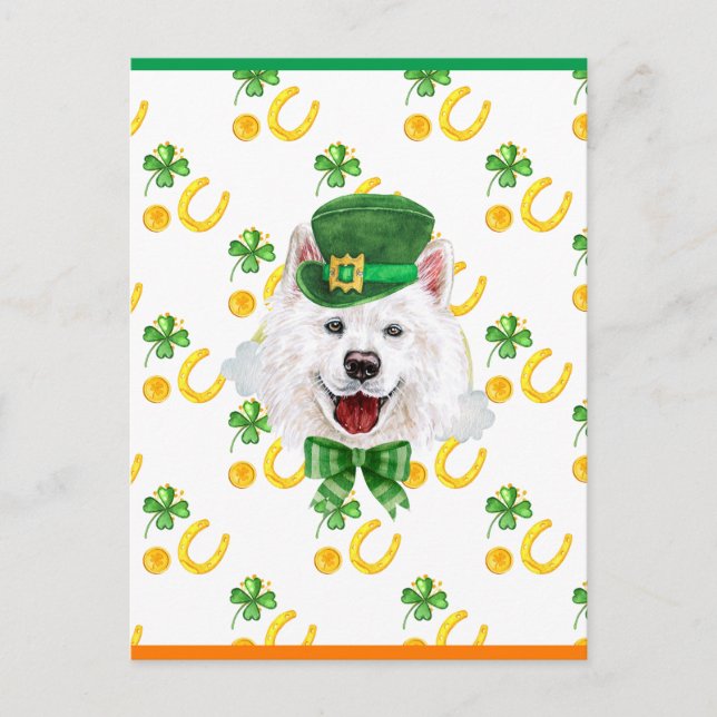 Samoyed Shamrock St. Patricks Day Helg Vykort (Framsida)