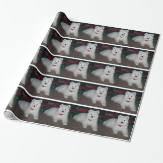 Samoyed som slår in papper presentpapper