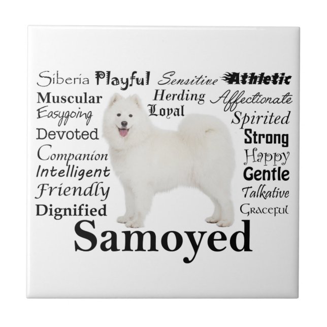 Samoyed Traits Ceramic Tile Kakelplatta (Framsidan)