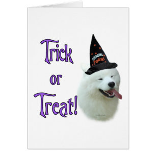 Samoyed Trick Hälsningskort