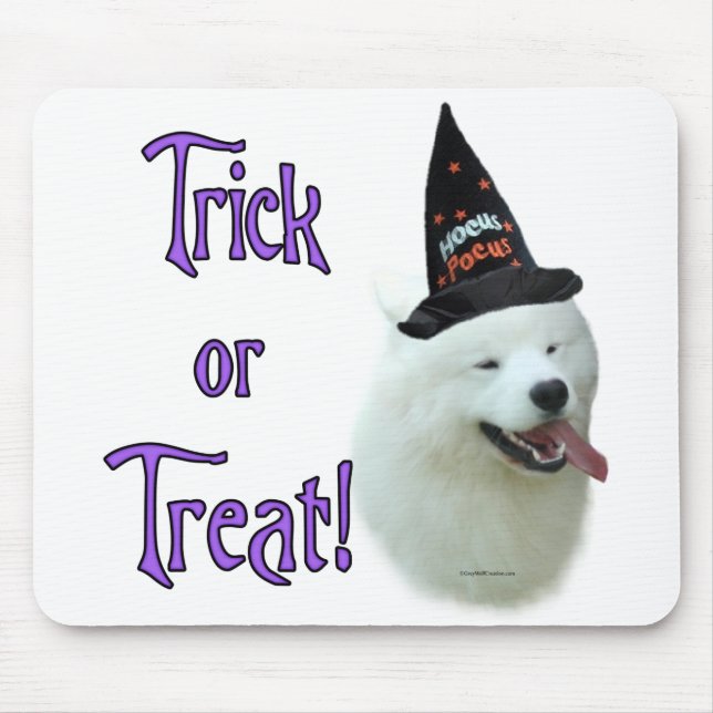 Samoyed Trick Musmatta (Framsidan)