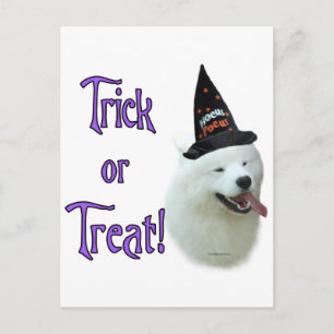 Samoyed Trick Vykort