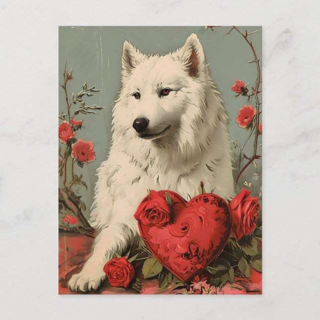 Samoyed Vintage Valentines dag Vykort (Framsida)