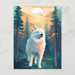 Samoyed vinterskog under solnedgång vykort