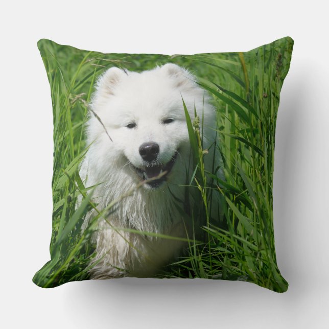 Samoyeddekorativ kudde (Framsida)