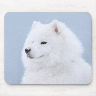 samoyedhund musmatta