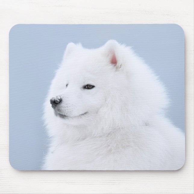 samoyedhund musmatta (Framsidan)