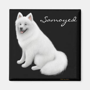 Samoyedhundmagnet Magnet