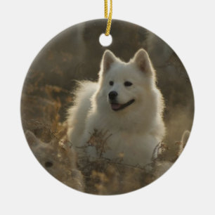 Samoyedhundprydnad Julgransprydnad Keramik