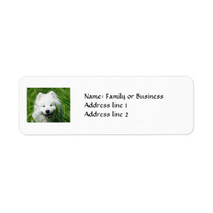 Samoyedreturetiketter Returadress Etikett