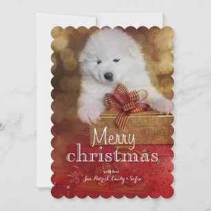 Samoyedvalphund med julgåvor julkort