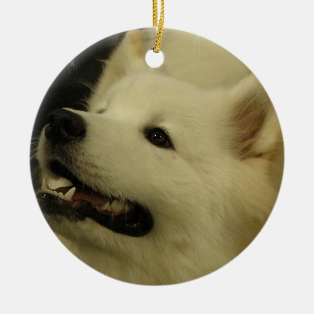 Samoyedvalpprydnad Julgransprydnad Keramik (Framsidan)