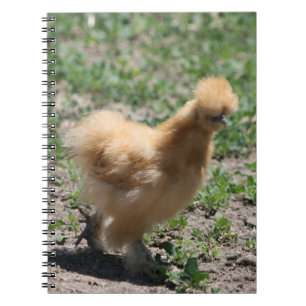 Sämskskinns- Silkie feg anteckningsbok