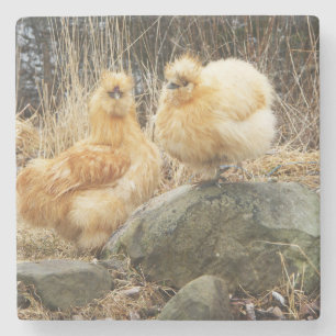 Sämskskinns- Silkie hönakustfartyg Stenunderlägg