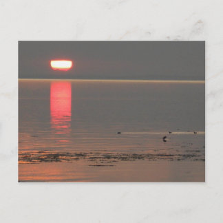 Samsø öDanmark foto Colette Juli 2009 Vykort