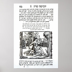 Samson och Delilah Poster