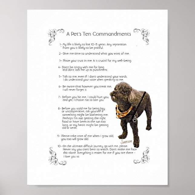 SAMSON - POSTER (Framsidan)