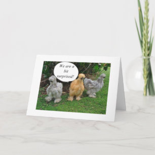 SAMTAL CHICKENS "CONGRATULATE RETIREE" MED HUMOR KORT