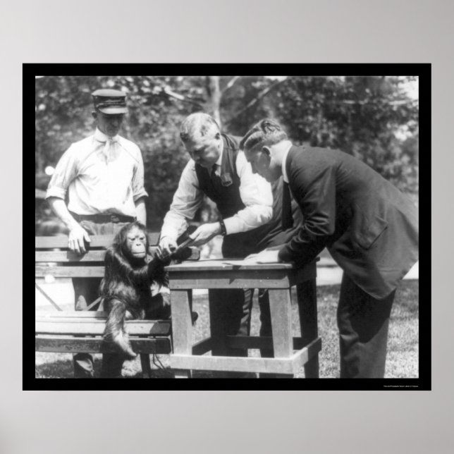Samtal med Orangutan 1920 Poster (Framsidan)