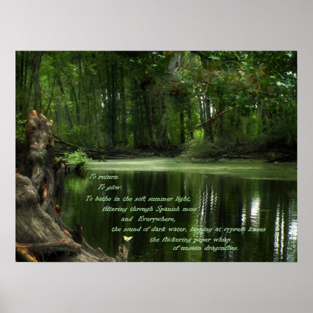 Samtal med South Photo Postser Poster (Framsidan)