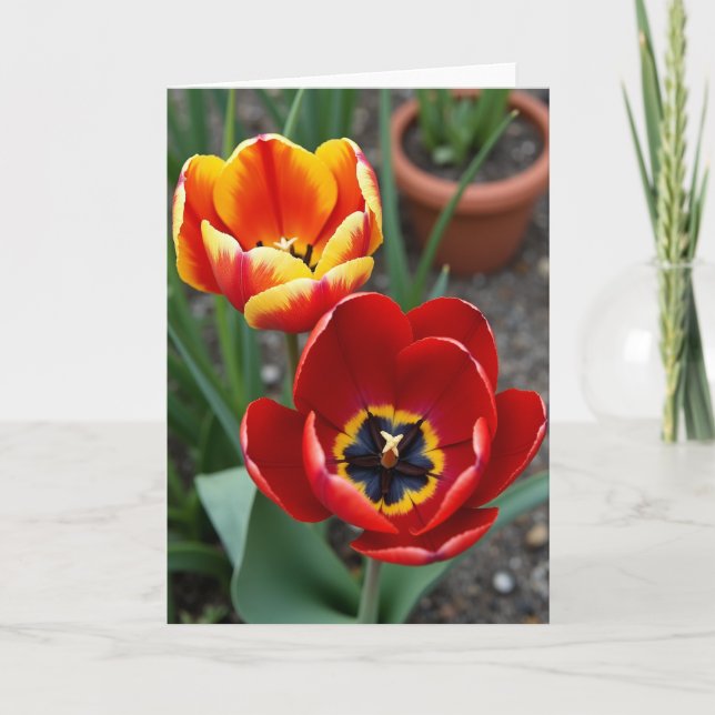 Samtalskort för födelsedagen med Velvet Blossom Kort (Framsida)