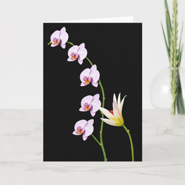 Samtblomsterkort Kort (Framsida)