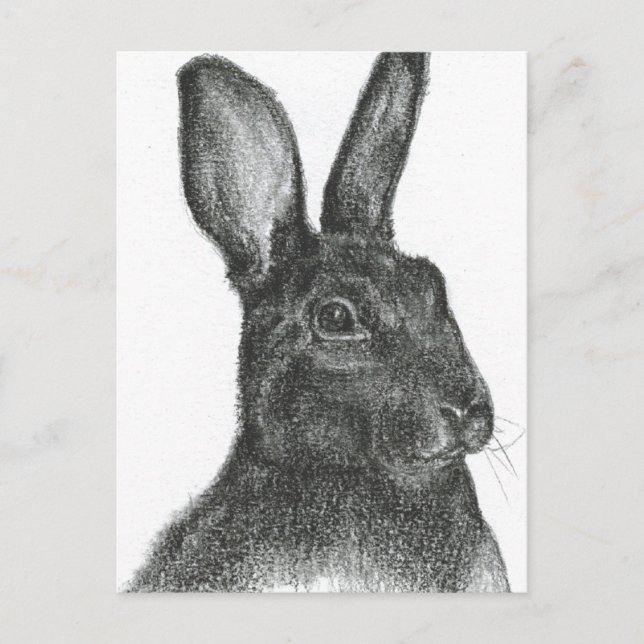 Samuel L Jackson Vykort (Framsida)